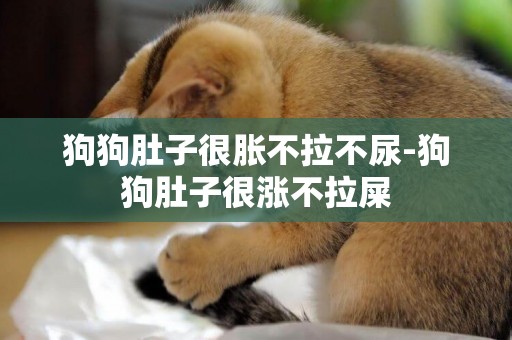 狗狗肚子很脹不拉不尿-狗狗肚子很漲不拉屎