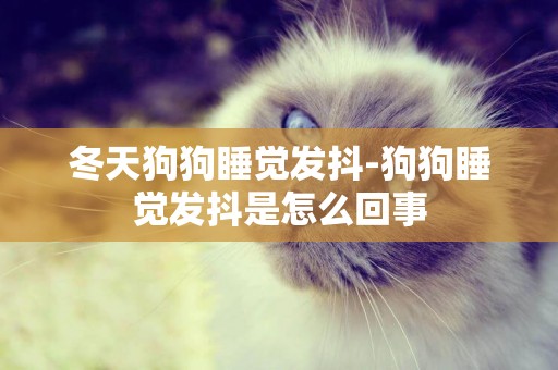 冬天狗狗睡覺發抖-狗狗睡覺發抖是怎么回事