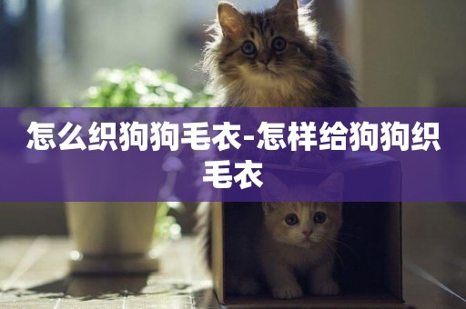 怎么織狗狗毛衣-怎樣給狗狗織毛衣