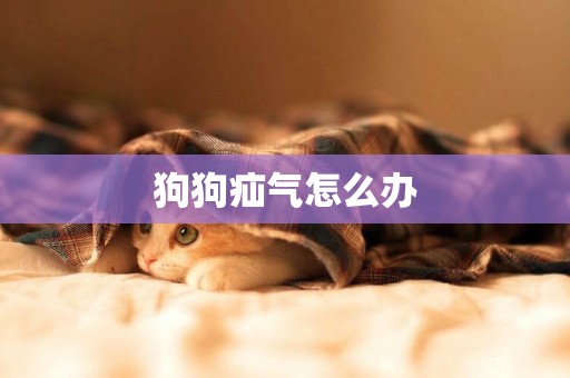 狗狗疝氣怎么辦