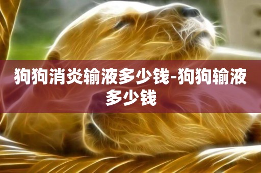 狗狗消炎輸液多少錢-狗狗輸液多少錢