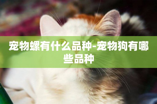 寵物螺有什么品種-寵物狗有哪些品種