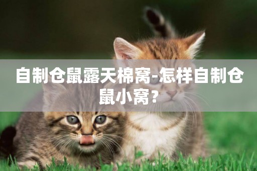 自制倉鼠露天棉窩-怎樣自制倉鼠小窩？