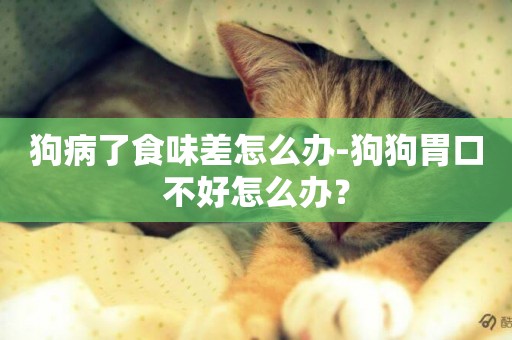 狗病了食味差怎么辦-狗狗胃口不好怎么辦？