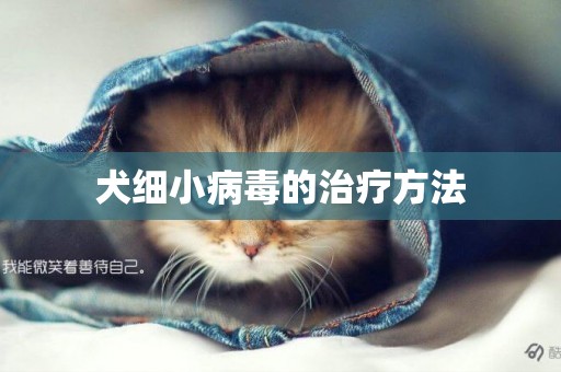 犬細小病毒的治療方法