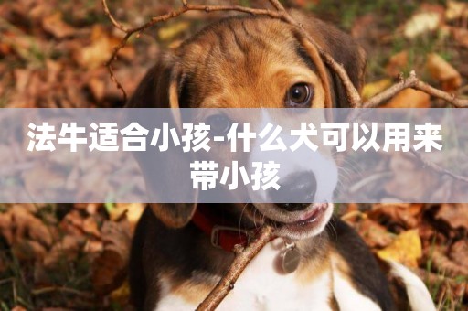 法牛適合小孩-什么犬可以用來帶小孩
