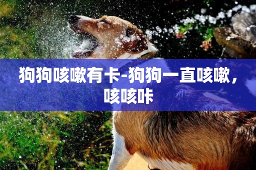 狗狗咳嗽有卡-狗狗一直咳嗽，咳咳咔