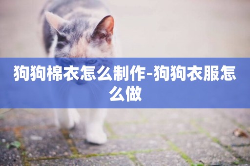 狗狗棉衣怎么制作-狗狗衣服怎么做