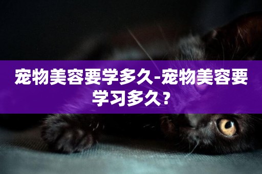 寵物美容要學多久-寵物美容要學習多久？