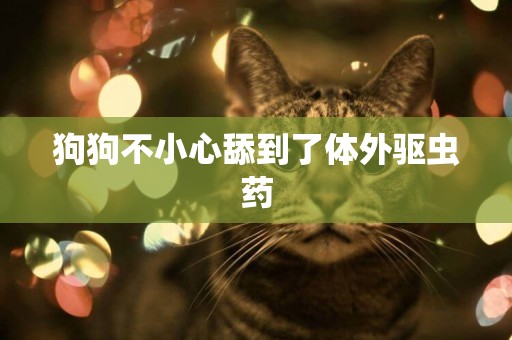 狗狗不小心舔到了體外驅蟲藥