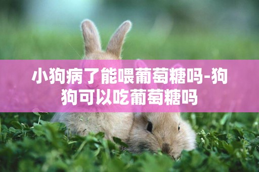 小狗病了能喂葡萄糖嗎-狗狗可以吃葡萄糖嗎