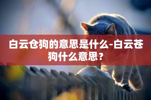 白云倉狗的意思是什么-白云蒼狗什么意思？