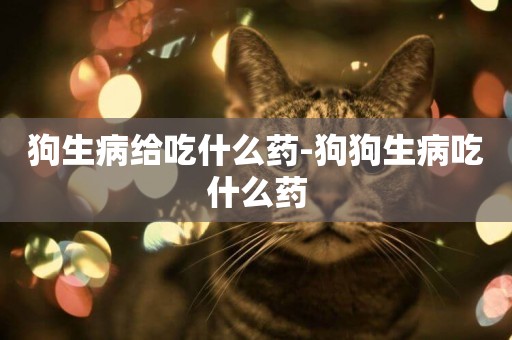 狗生病給吃什么藥-狗狗生病吃什么藥