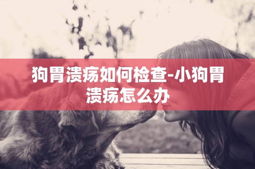 狗胃潰瘍如何檢查-小狗胃潰瘍怎么辦