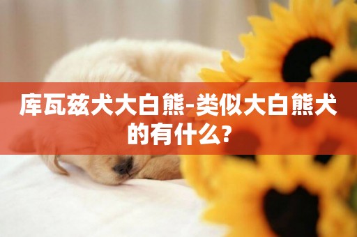 庫瓦茲犬大白熊-類似大白熊犬的有什么?