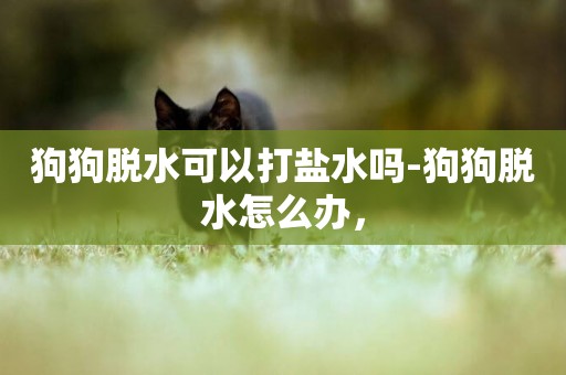 狗狗脫水可以打鹽水嗎-狗狗脫水怎么辦，