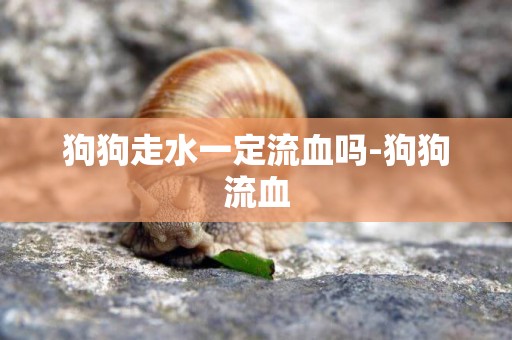 狗狗走水一定流血嗎-狗狗流血