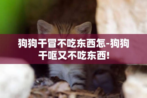 狗狗干冒不吃東西怎-狗狗干嘔又不吃東西!