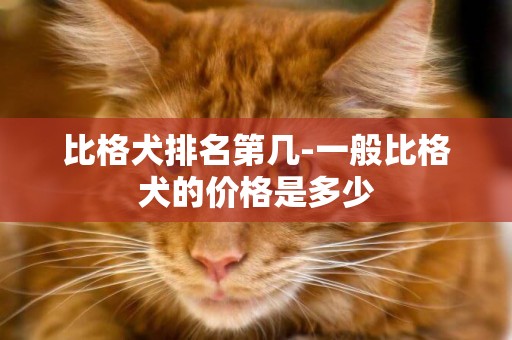 比格犬排名第幾-一般比格犬的價格是多少