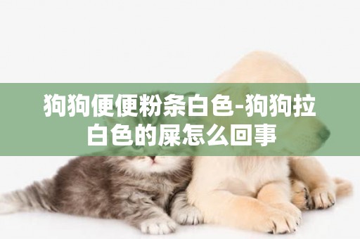 狗狗便便粉條白色-狗狗拉白色的屎怎么回事