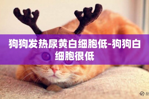 狗狗發熱尿黃白細胞低-狗狗白細胞很低