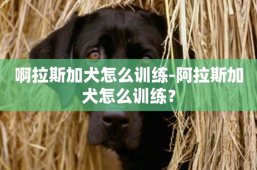 啊拉斯加犬怎么訓練-阿拉斯加犬怎么訓練？
