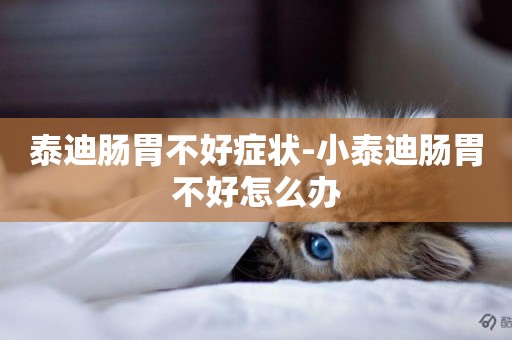 泰迪腸胃不好癥狀-小泰迪腸胃不好怎么辦