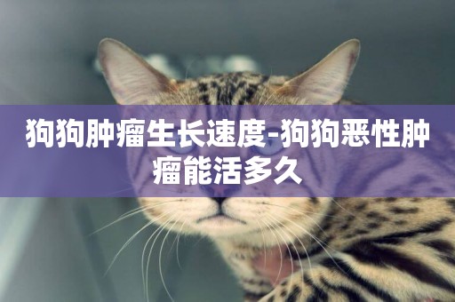 狗狗腫瘤生長速度-狗狗惡性腫瘤能活多久