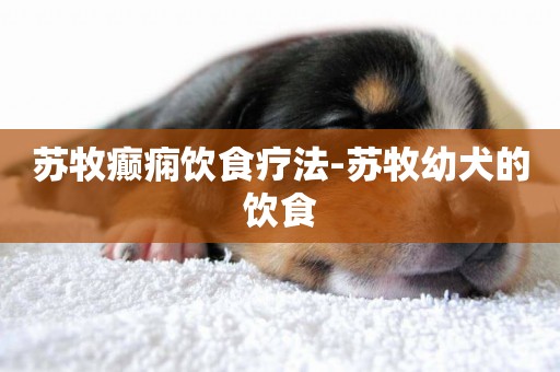 蘇牧癲癇飲食療法-蘇牧幼犬的飲食