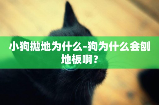 小狗拋地為什么-狗為什么會刨地板啊？