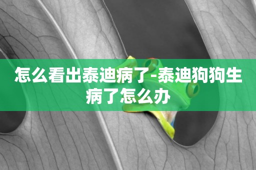 怎么看出泰迪病了-泰迪狗狗生病了怎么辦