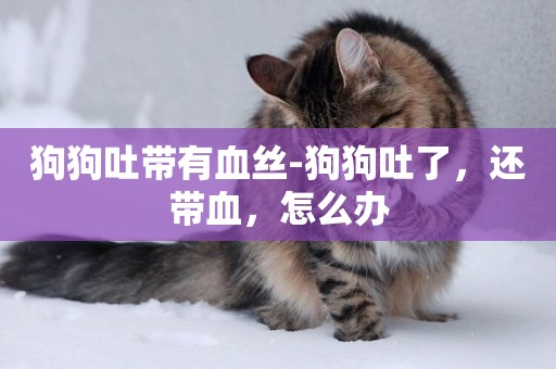 狗狗吐帶有血絲-狗狗吐了，還帶血，怎么辦