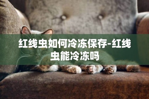紅線蟲如何冷凍保存-紅線蟲能冷凍嗎