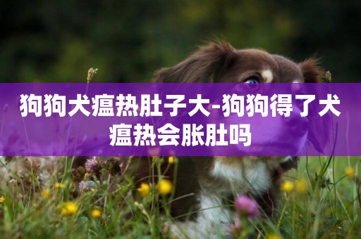 狗狗犬瘟熱肚子大-狗狗得了犬瘟熱會脹肚嗎