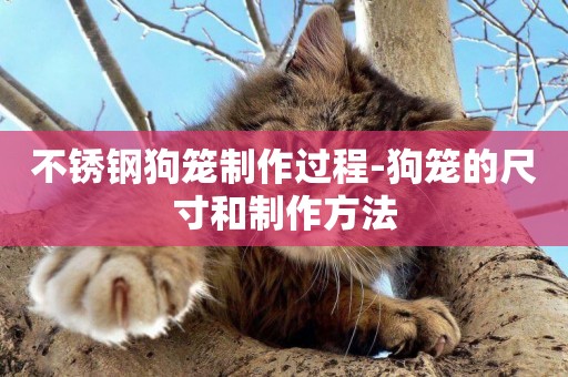 不銹鋼狗籠制作過程-狗籠的尺寸和制作方法