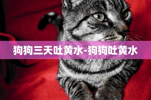 狗狗三天吐黃水-狗狗吐黃水