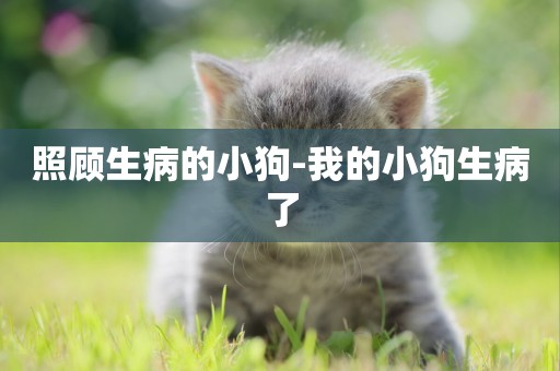 照顧生病的小狗-我的小狗生病了