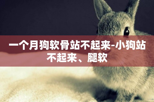 一個月狗軟骨站不起來-小狗站不起來、腿軟
