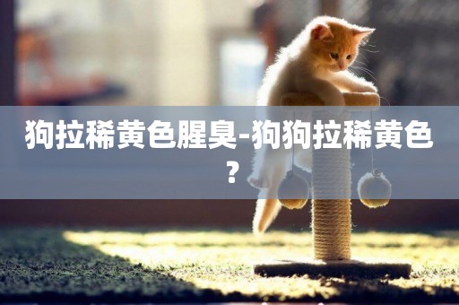 狗拉稀黃色腥臭-狗狗拉稀黃色？