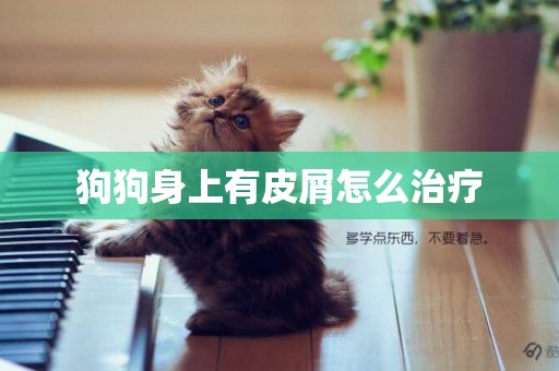 狗狗身上有皮屑怎么治療