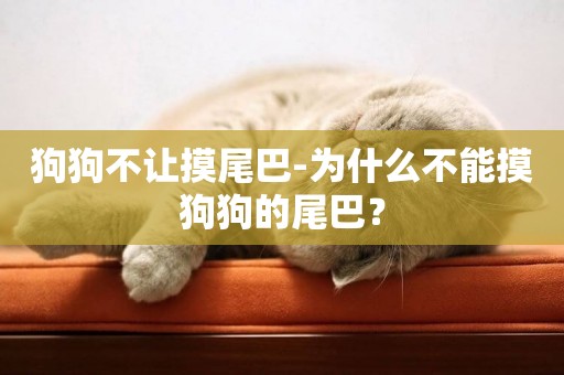 狗狗不讓摸尾巴-為什么不能摸狗狗的尾巴？
