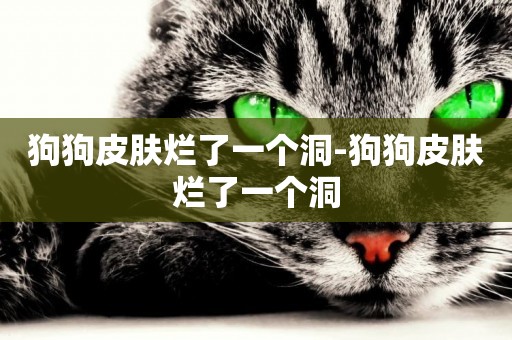 狗狗皮膚爛了一個洞-狗狗皮膚爛了一個洞