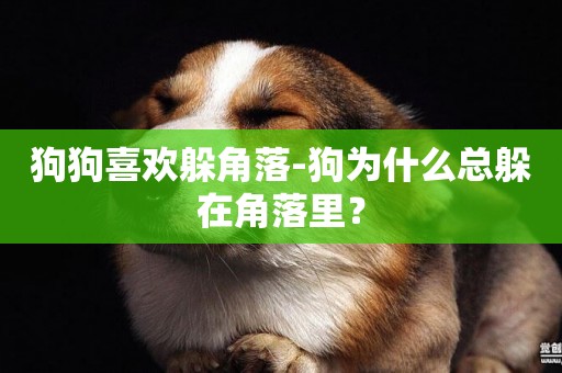 狗狗喜歡躲角落-狗為什么總躲在角落里？