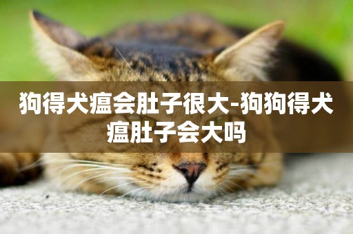 狗得犬瘟會肚子很大-狗狗得犬瘟肚子會大嗎