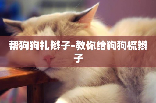 幫狗狗扎辮子-教你給狗狗梳辮子
