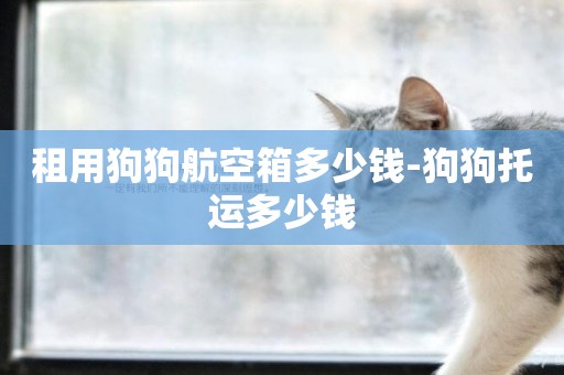 租用狗狗航空箱多少錢-狗狗托運多少錢