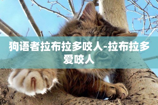 狗語者拉布拉多咬人-拉布拉多愛咬人