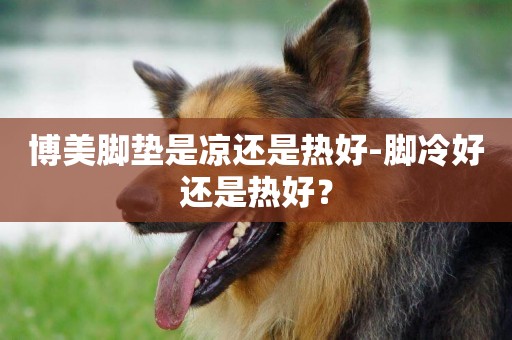 博美腳墊是涼還是熱好-腳冷好還是熱好？