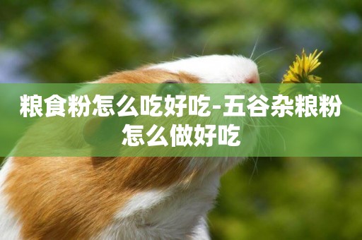 糧食粉怎么吃好吃-五谷雜糧粉怎么做好吃