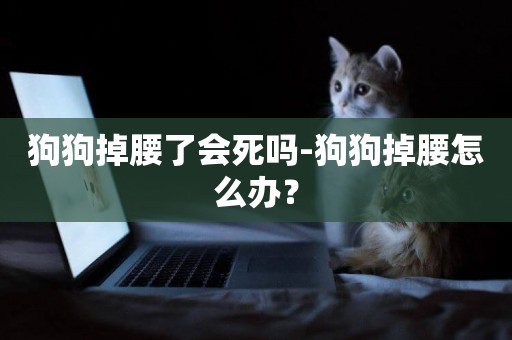 狗狗掉腰了會死嗎-狗狗掉腰怎么辦？